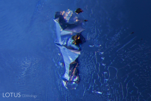 One of the classic inclusions found in Sri Lankan sapphires are negative crystals. These are generally filled with liquid carbon dioxide and sometimes contain a gas phase, too. In addition, hexagonal black graphite plates and slender diaspore needles are frequent guests in these tiny primary cavities.