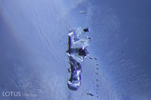 One of the classic inclusions found in Sri Lankan sapphires are negative crystals. These are generally filled with liquid carbon dioxide and sometimes contain a gas phase, too. In addition, hexagonal black graphite plates and slender diaspore needles are frequent guests in these tiny primary cavities.