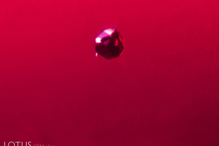 Inclusion of what is probably chalcopyrite in a ruby from Montepuez, Mozambique.
