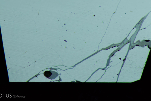 Rubies from some localities in northern Mozambique have fissures that are too wide to be closed via the normal flux healing treatment alone. Thus these stones also often have the fissures filled with glass, as you can see here. The glass has a much lower luster than the surrounding corundum. One can also see a round gas bubble that was cut through during the polishing process.
