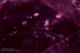 Rutile silk (high relief) with daughter crystals (lower relief) at the broad ends is a common feature of Mozambique rubies. Heat treatment often produces a breakdown, creating white spots or bubbles within the daughter crystals, as can be seen here.