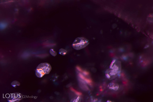 Rutile silk (high relief) with daughter crystals (lower relief) at the broad ends is a common feature of Mozambique rubies. Heat treatment often produces a breakdown, creating white spots or bubbles within the daughter crystals, as can be seen here.