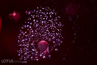 A mica crystal with a lovely “rosette” inclusion surrounding it creates a secret beauty in this Montepuez (Mozambique) ruby.