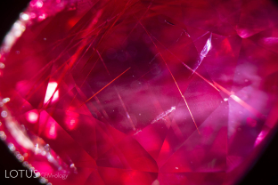 This untreated ruby from Tanzania’s Winza mines shows unusual long needle inclusions.