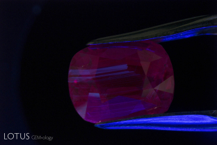 Pink sapphires from Sri Lanka are routinely heated at relatively low temperatures (>1200°C) to drive off the blue tint. While this rarely changes the inclusions, it can be unmasked by reference to the shortwave ultraviolet fluorescence, which often develops chalky zones, as shown in this stone.