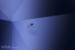 High-temperature heat treatment has the potential to alter certain types of solid inclusions. Here we see an included crystal that melted during heat treatment, turning into glass. Because a glass takes up less volume than a crystal, the result is a void, in the form of a bubble within the glass.
