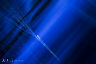 A small crystal with streams of particles coming off it in a heated Madagascar sapphire. Particle streams such as this form because an inclusion creates a barrier to growth behind it, resulting in the trapping of tiny fluid inclusions.