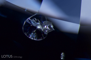 Certain type of solid inclusions are heat sensitive and may alter when the gem is heat treated. Here we see crystals that have altered into “snowball” like forms. In addition, the coefficient of thermal expansion of the included crystals was greater than corundum. Thus when heated, they expanded more than the surrounding sapphire, producing glassy discoid fissures.