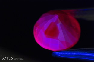 Low iron rubies (and pink and padparadscha sapphires) from localities like Mogok, Mong Hsu (Myanmar) and Sri Lanka will often display chalky zones in shortwave ultraviolet. Here we see an excellent example in a heat-treated ruby from Mong Hsu. This fluorescence is positive proof of heat treatment.