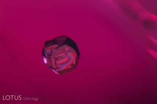Iridescence on a chalcopyrite crystal as it floats within the interior of a ruby from Mozambique’s Montepuez region.