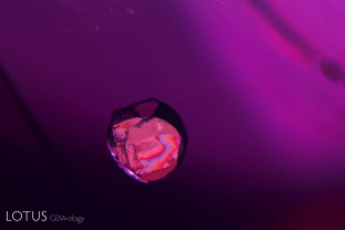 Iridescence on a chalcopyrite crystal as it floats within the interior of a ruby from Mozambique’s Montepuez region.
