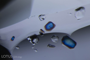 Birefringent crystals light up between crossed polars in this Ceylon sapphire.