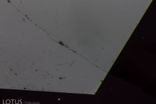 In Myanmar it has become common practice to oil virtually all gems that contain fissures. Here we see oil-filled fissures dripping oil in a spinel from Mogok.