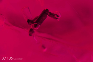 Primary rutile crystals dance with transparent colorless partners in this ruby from Myanmar’s Mogok Stone Tract. 