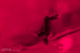 Primary rutile crystals dance with transparent colorless partners in this ruby from Myanmar’s Mogok Stone Tract. 