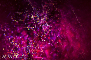 Knife-shaped rutile needles are a classic internal feature of unheated rubies from Myanmar’s Mogok Stone Tract.
