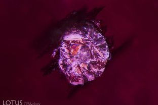 Winged mica crystal within a ruby from Montepuez, Mozambique. These inclusions are heat sensitive and often develop glassy tension fissures around them following heat treatment.