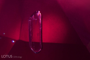 Amphibole rods are a common guest in Montepuez (Mozambique) rubies and are unaffected by low-temperature heat treatment.