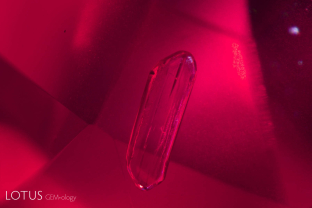 Amphibole rods are a common guest in Montepuez (Mozambique) rubies and are unaffected by low-temperature heat treatment.