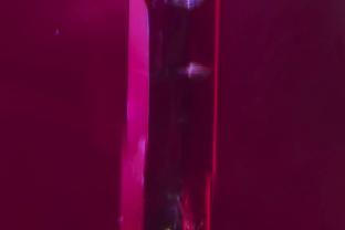 Amphibole rods are a common guest in Montepuez (Mozambique) rubies and are unaffected by low-temperature heat treatment.