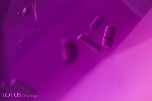 Amphibole rods are a common guest in Montepuez (Mozambique) rubies and are unaffected by low-temperature heat treatment.