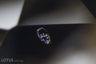 This sapphire trapped in a yellow sapphire from Sri Lanka features inclusions of its own.