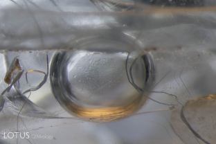 This sapphire crystal from Burma’s Mogok Stone Tract featured extremely large negative crystals with mobile carbon dioxide bubbles. These inclusions would rupture if heated, and so are proof of natural, untreated origin.