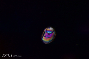 A transparent birefringent crystal in spinel, as seen between crossed polars.