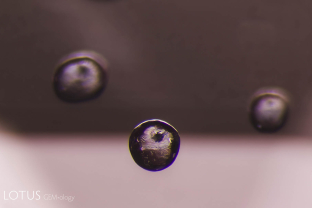 Transparent birefringent crystals in spinel with "belly button" spots.