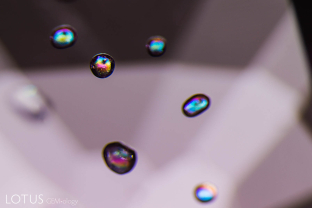 Transparent birefringent crystals in spinel with "belly button" spots under crossed polars.