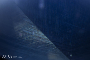 Otherworldly birefringent crystals float above a twin plane in a sapphire from Sri Lanka.