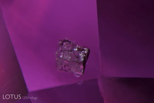 A blocky zircon crystal in a pink sapphire from Madagascar’s Ilakaka region.