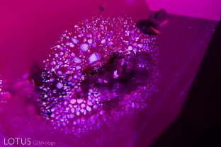 A lovely “rosette” thin film inclusion surrounds a mica crystal in this ruby from Mozambique’s Montepuez mines.