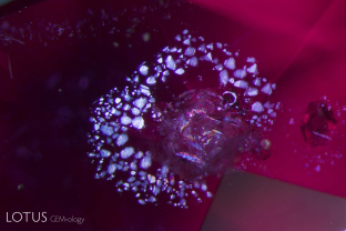 A mica crystal with a lovely “rosette” surrounding it graces the interior of this untreated Mozambique ruby from the Montepuez area.
