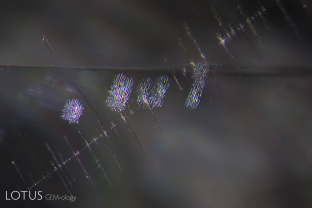 Stellate (star-like) dislocations decorate the interior of this violet spinel from Vietnam’s Luc Yen district. These may sometimes alter to högbomite.