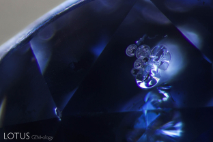 This string of discoids demonstrate that this Sri Lankan sapphire has been subjected to heat treatment.