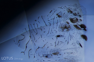 A classic example of a heat-altered fingerprint. One can clearly see that each of the negative crystal channels has burst from the heat treatment.