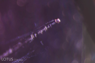 Included apatite crystal with comet tail. Such “tails” indicate the direction of growth was towards the tail (away from the crystal). Such tails are actually microscope negative crystals.