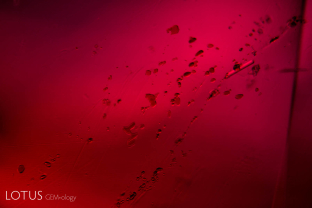 Tiny rounded grains of pargasite (transparent) and chromite (black) in an untreated Mozambique ruby.