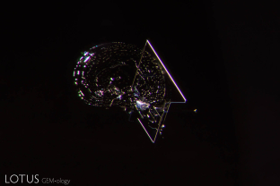 Negative crystal with triangular healing pattern.