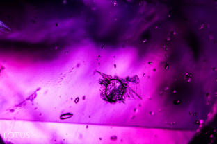 A mica crystal floats agains a backdrop of rounded zircon grains in this untreated ruby from Ambodivoahangy, Madagascar.