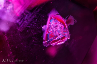A thin plate of mica is trapped in this untreated ruby from Ambodivoahangy, Madagascar.