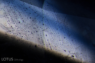 Heat-altered fingerprint in a Sri Lanka blue sapphire. Heating causes tiny microfractures as the negative crystals burst.