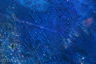 Heat-altered fingerprint in a Sri Lanka blue sapphire. Heating causes tiny microfractures as the negative crystals burst.
