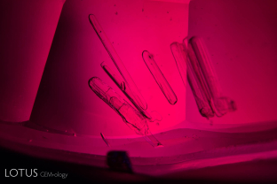 Amphibole rods in an untreated ruby from Ambodivoahangy, Madagascar.