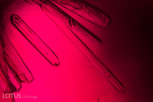 Amphibole rods in an untreated ruby from Ambodivoahangy, Madagascar.