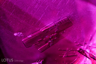 Amphibole rods, along with rutile silk and exsolved particles in a ruby from Madagascar’s Ambodivoahangy region.