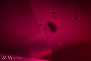 Tiny crystal grains of what appear to be zircon or xenotime in a ruby from Madagascar’s Ambodivoahangy region.