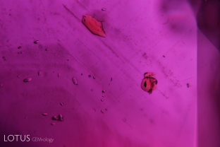 Orange crystals of what is probably monazite along with smaller zircon grains in this unheated ruby from Ambodivoahangy, Madagascar