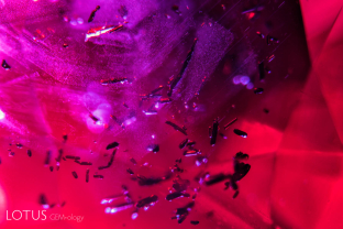 Like twigs, small prisms of primary rutile lie trapped within this untreated ruby from Ambodivoahangy, Madagascar.